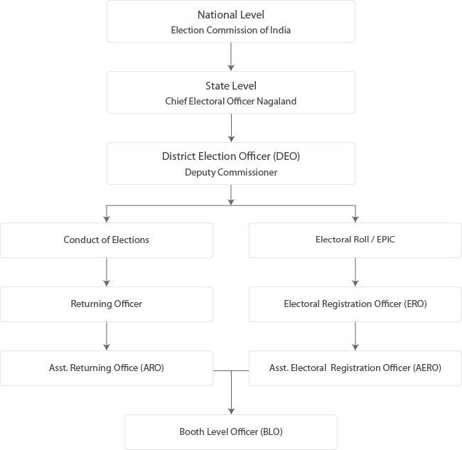 District Level